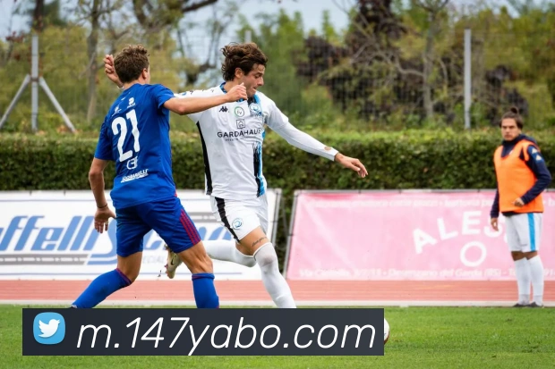yb亚博APP 封面图